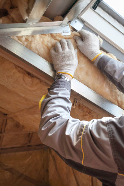 Best Cellulose Insulation  in Line Acres, MO