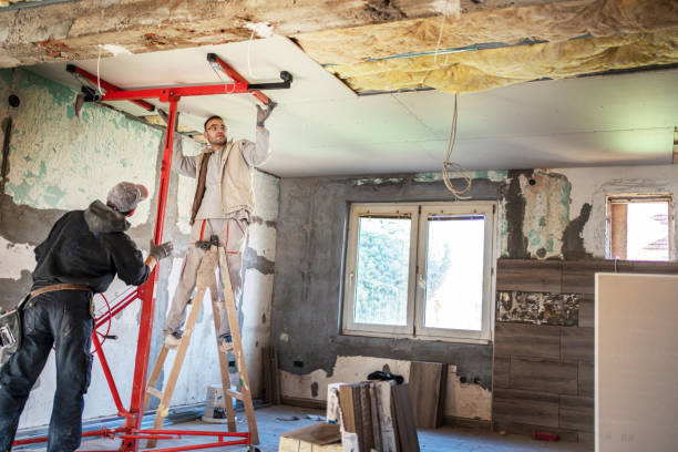 Best Home Insulation Services  in Line Acres, MO