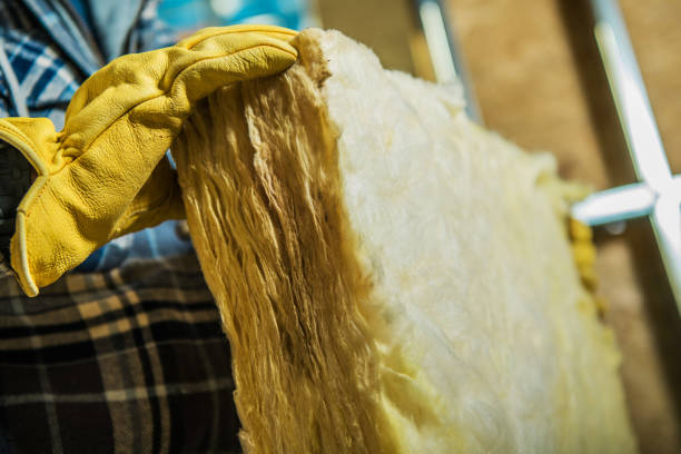 Best Insulation Removal  in Line Acres, MO